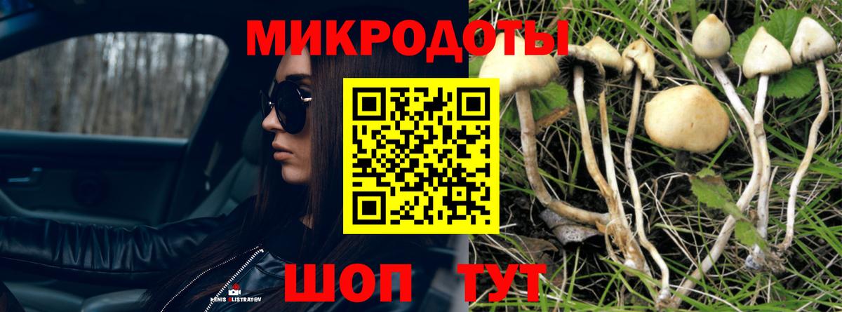 Галлюциногенные грибы MAGIC MUSHROOMS  Вход с VPN  Якутск 
