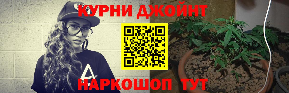 Канабис SATIVA & INDICA Якутск